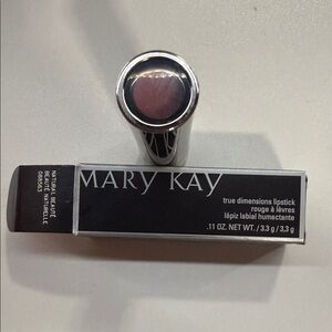 Mary Kay Lipstick in Elegant Silver Case Natural Beaute’
